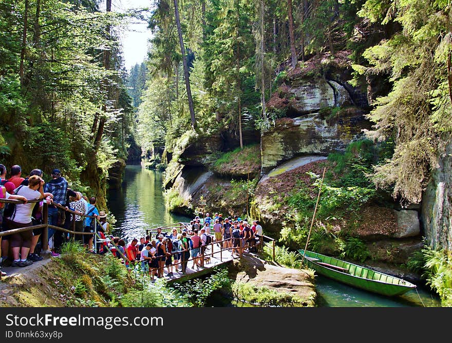 Nature, Water, Nature Reserve, Stream