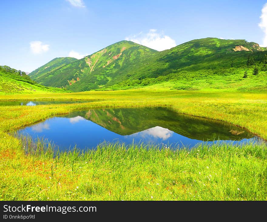 Grassland, Nature, Vegetation, Nature Reserve