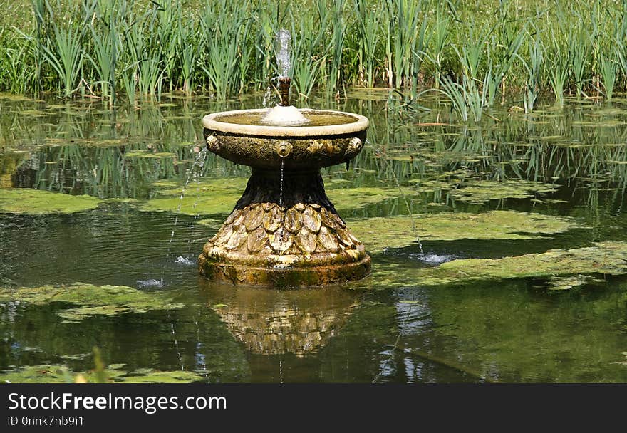 Water, Water Resources, Pond, Nature Reserve