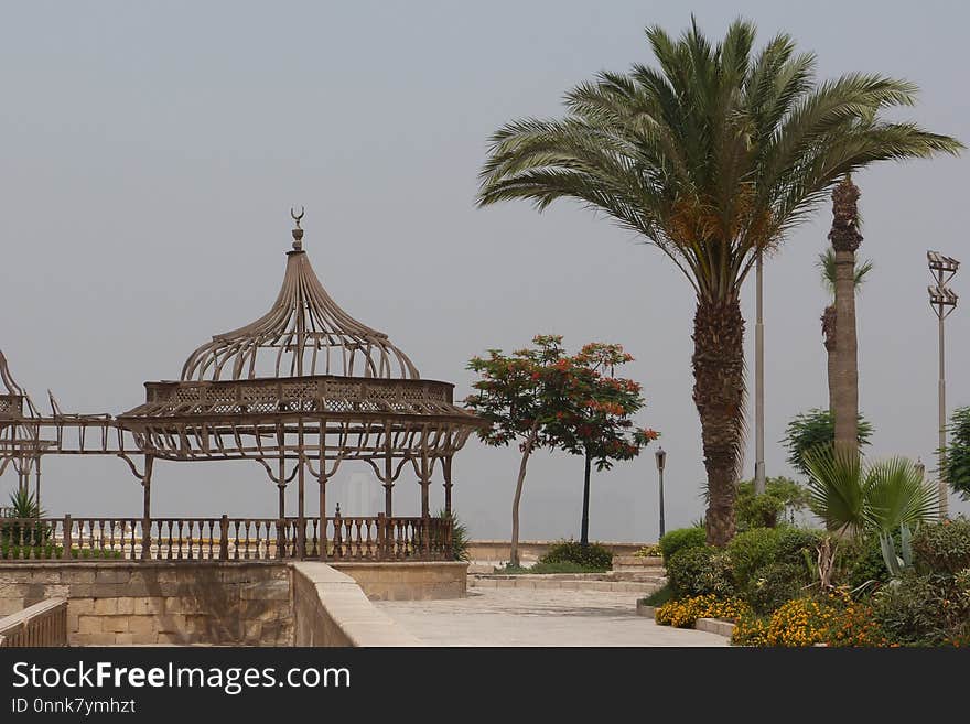 Arecales, Palm Tree, Tree, Tourist Attraction