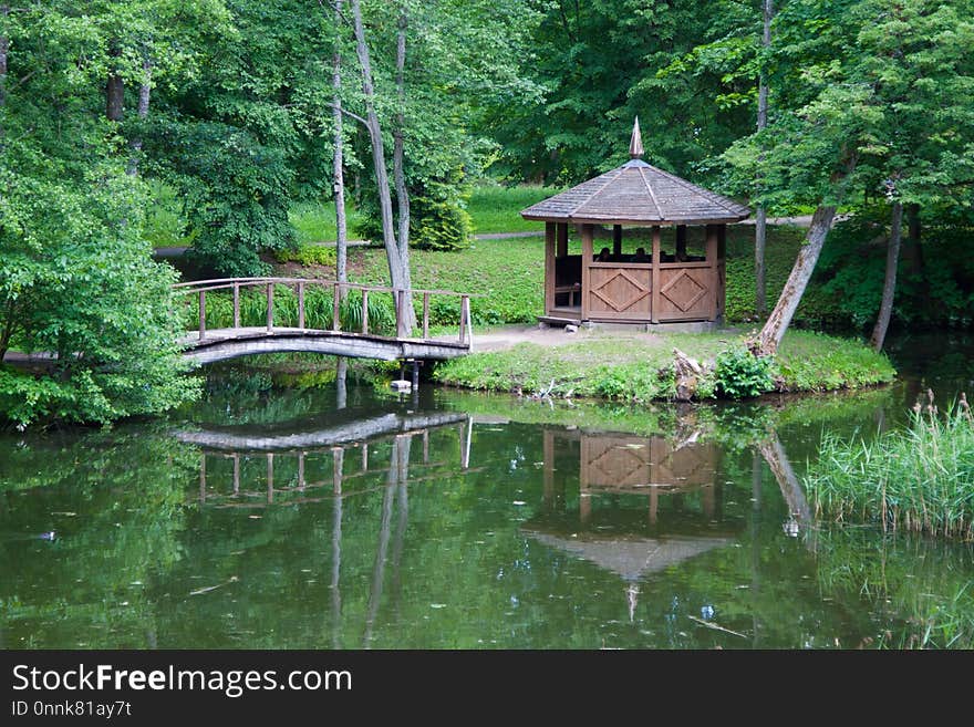 Reflection, Nature Reserve, Water, Vegetation