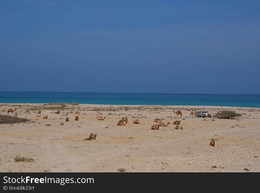 Sea, Sky, Coastal And Oceanic Landforms, Shore