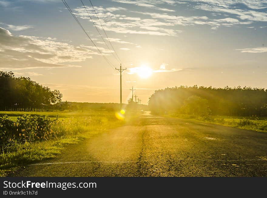 Sky, Road, Field, Yellow