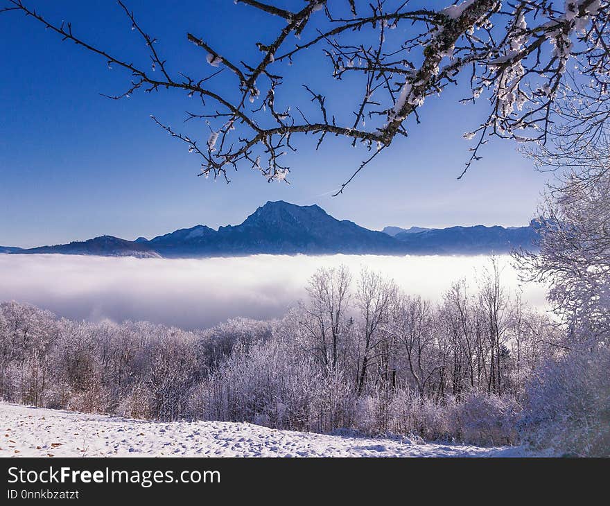 Winter, Snow, Sky, Nature