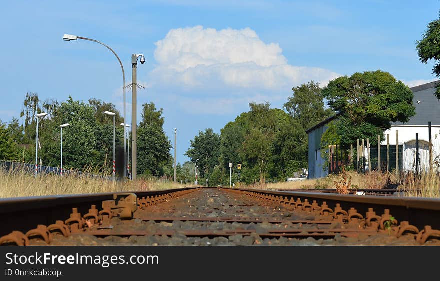 Track, Transport, Tree, Sky