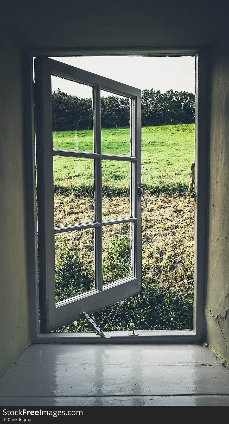 Window, Home, House, Tree