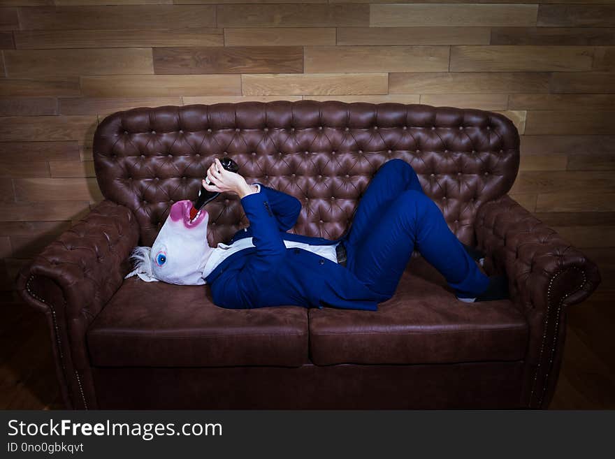 Funny unicorn in elegant suit lies on sofa