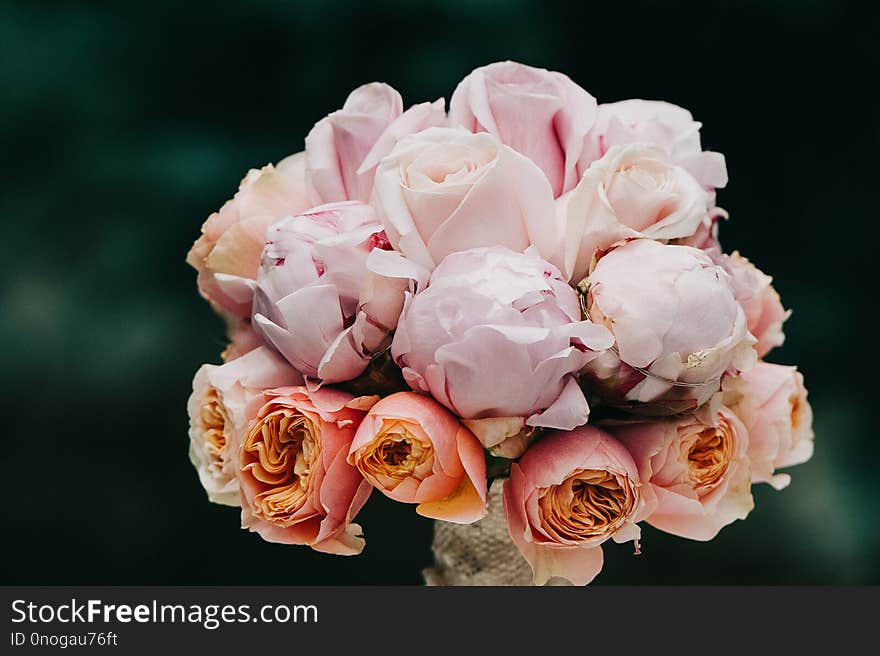 Fineart wedding bouquet. vintage hipster old skool looking flower