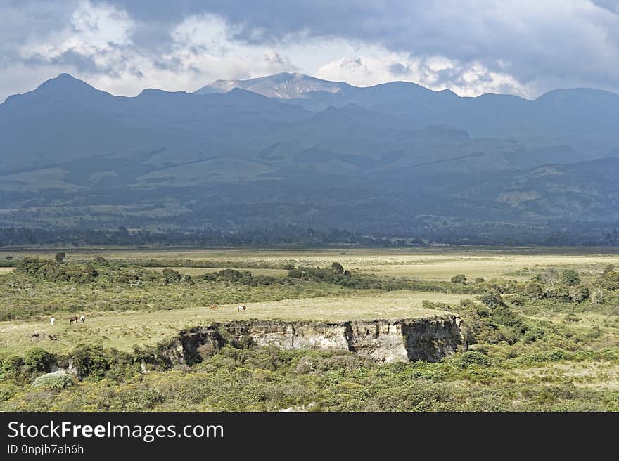 Ecosystem, Grassland, Highland, Nature Reserve