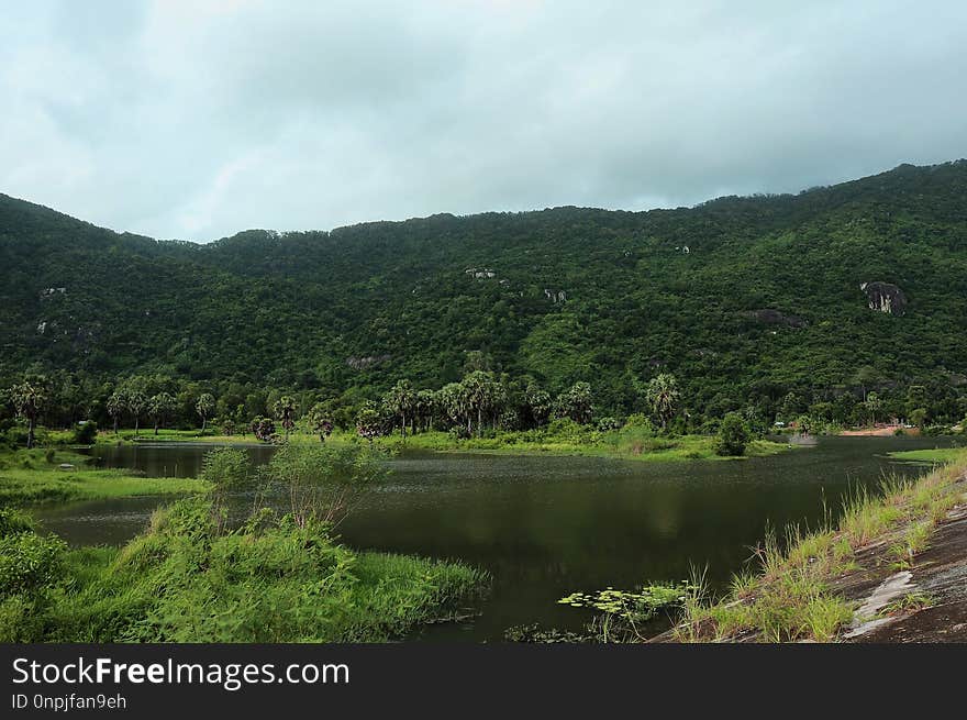 Vegetation, Highland, Nature Reserve, Hill Station