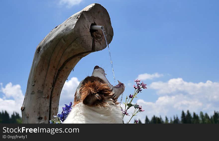 Sky, Tree, Monument, Tourism