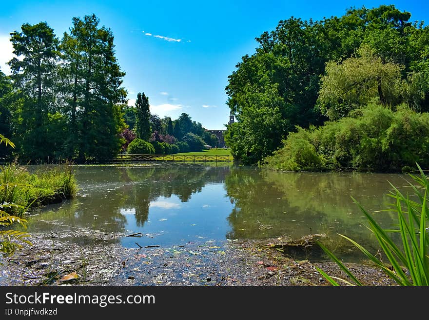 Reflection, Water, Nature, Vegetation