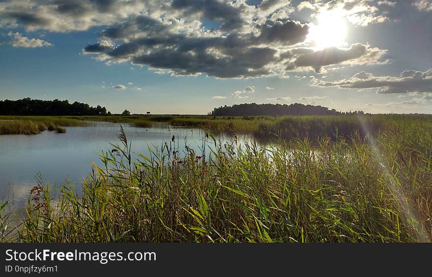 Sky, Wetland, Water, Reflection