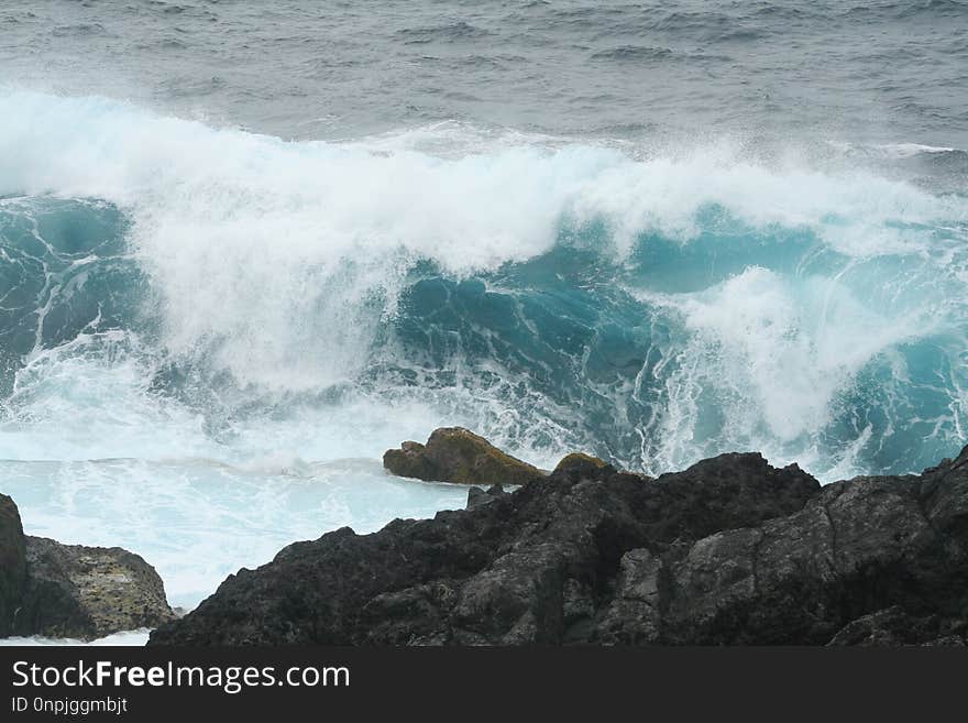 Wave, Sea, Wind Wave, Ocean