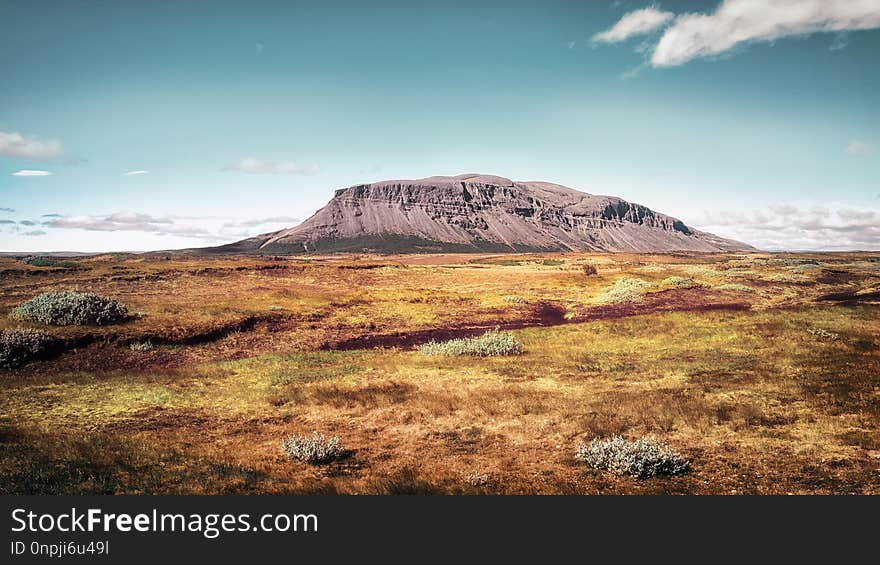 Ecosystem, Highland, Mountainous Landforms, Wilderness