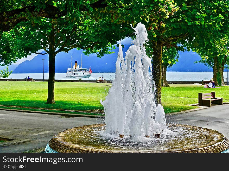 Water, Fountain, Water Feature, Tree