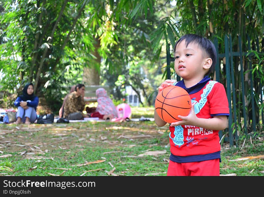 Child, Nature, Vertebrate, Tree