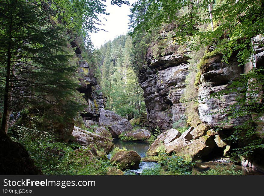 Nature, Nature Reserve, Water, Vegetation