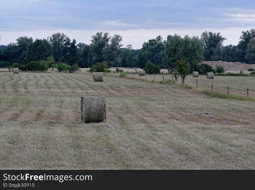 Property, Pasture, Field, Land Lot