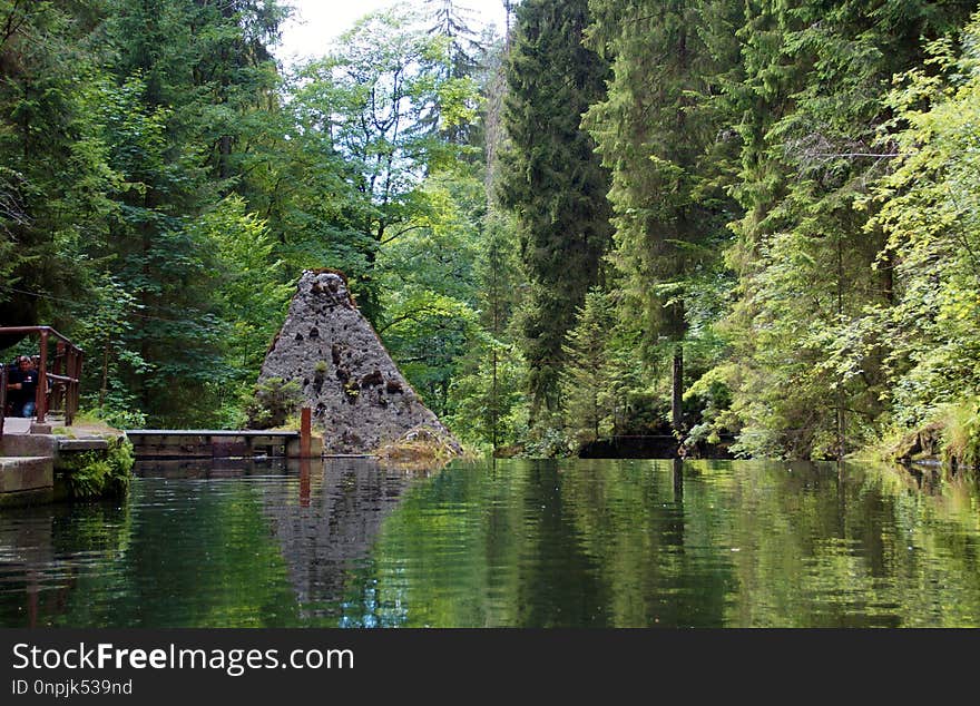 Waterway, Nature, Water, Nature Reserve