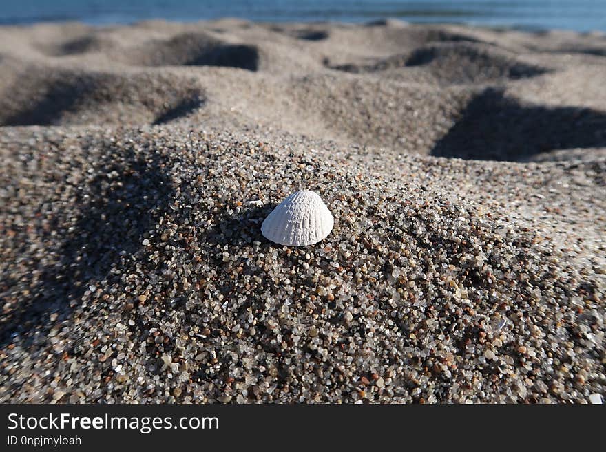 Sand, Rock, Seashell, Material