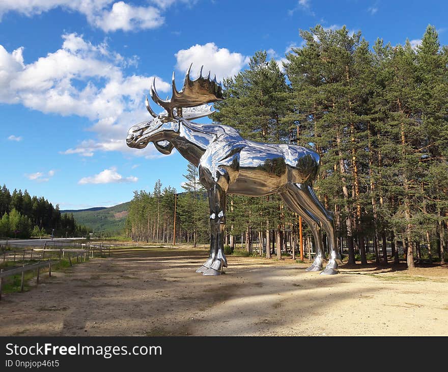 Horse, Horse Like Mammal, Tree, Sky