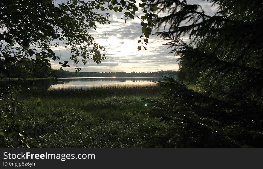 Nature, Water, Tree, Sky