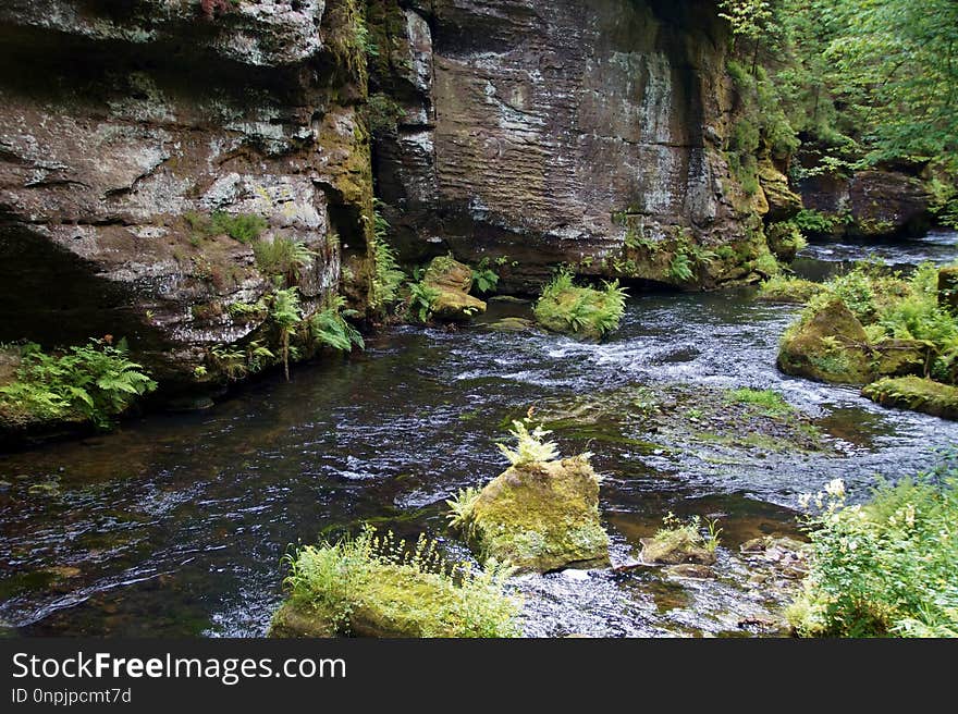 Water, Stream, Nature, Nature Reserve