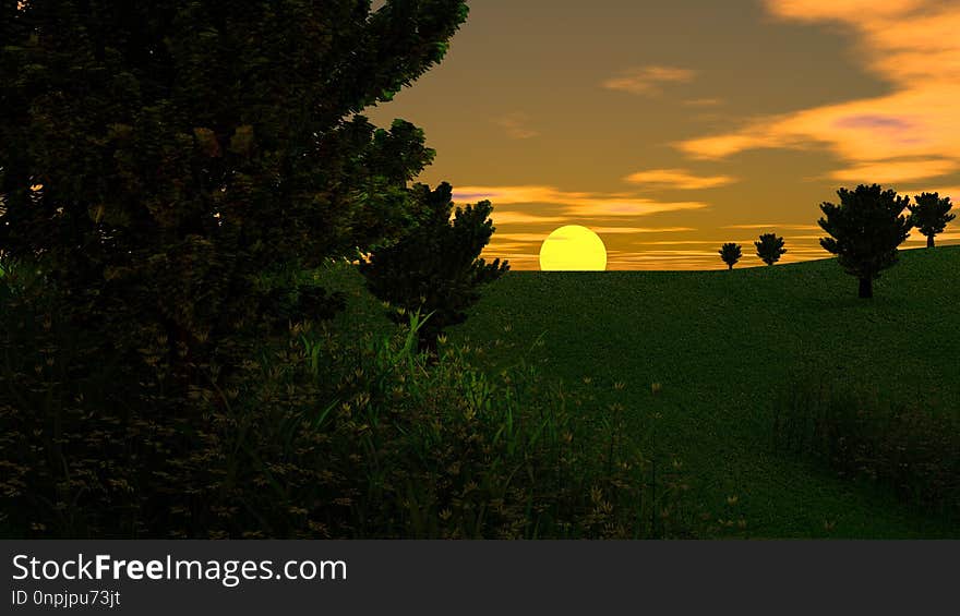 Field, Sky, Ecosystem, Grassland