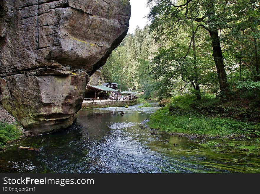 Nature, Water, Body Of Water, Nature Reserve