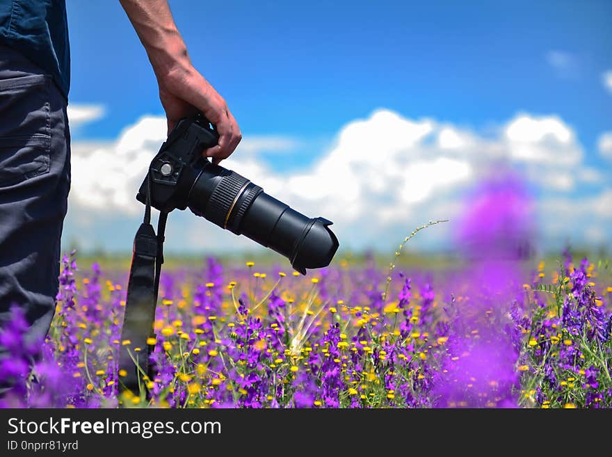 Nature, Spring And Photographer Concept