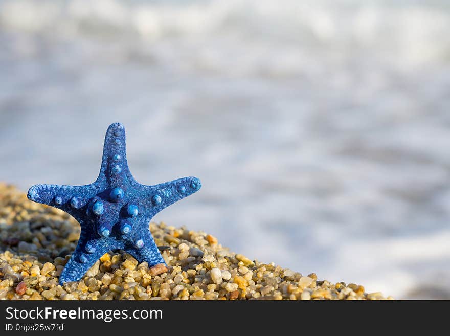 Blue starfish pinned on sand at the beach. Blue sea on background