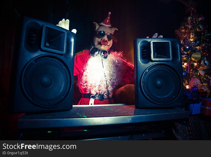 Funny 2019 year of pig concept. Dj Santa with pig mask at Christmas party mixing on New Year's Eve event. Disco lights in the background. Funny 2019 year of pig concept. Dj Santa with pig mask at Christmas party mixing on New Year's Eve event. Disco lights in the background