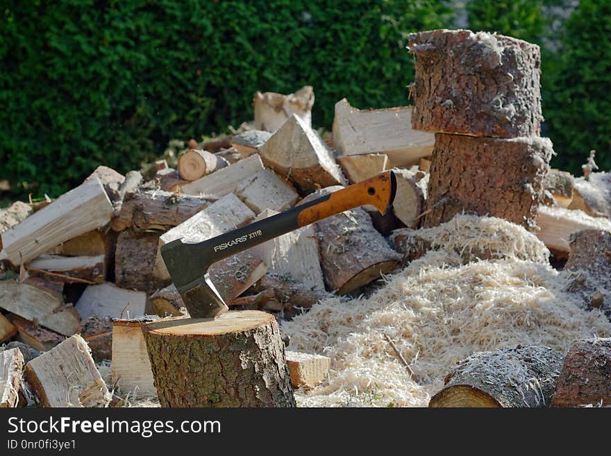 Wood, Tree, Wood Chopping, Rubble