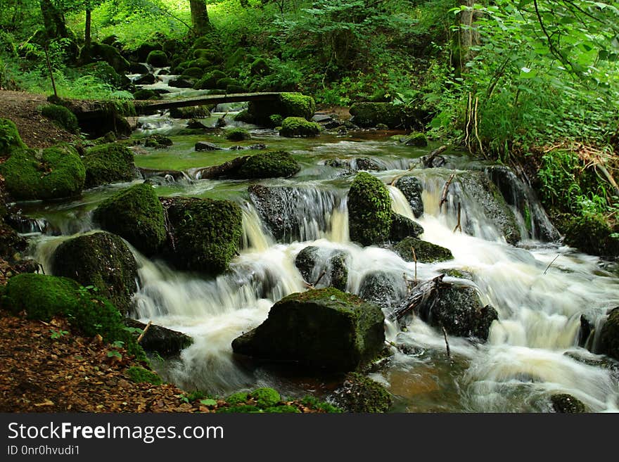 Water, Nature, Stream, Watercourse