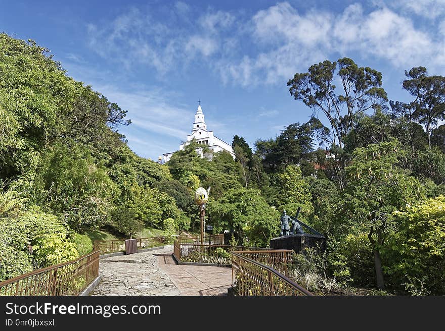 Vegetation, Sky, Tree, Pagoda