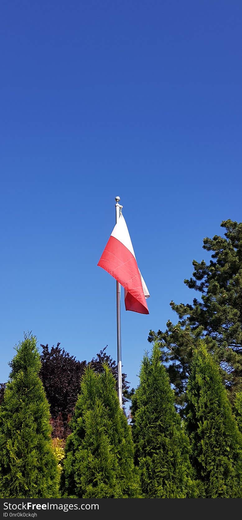 Sky, Flag, Tree, Daytime