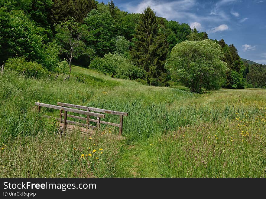 Grassland, Vegetation, Nature, Nature Reserve