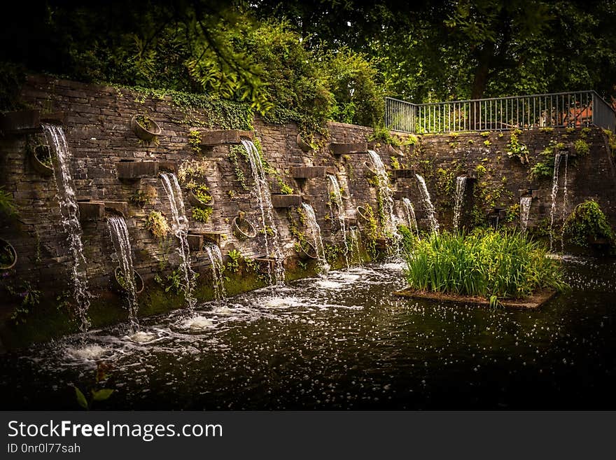 Nature, Water, Vegetation, Grass