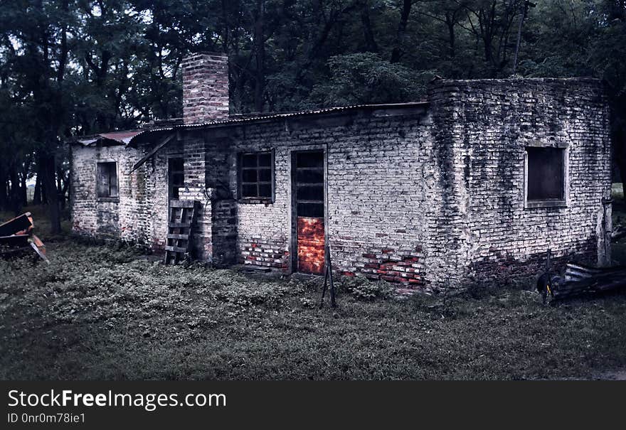 House, Shack, Wall, Tree