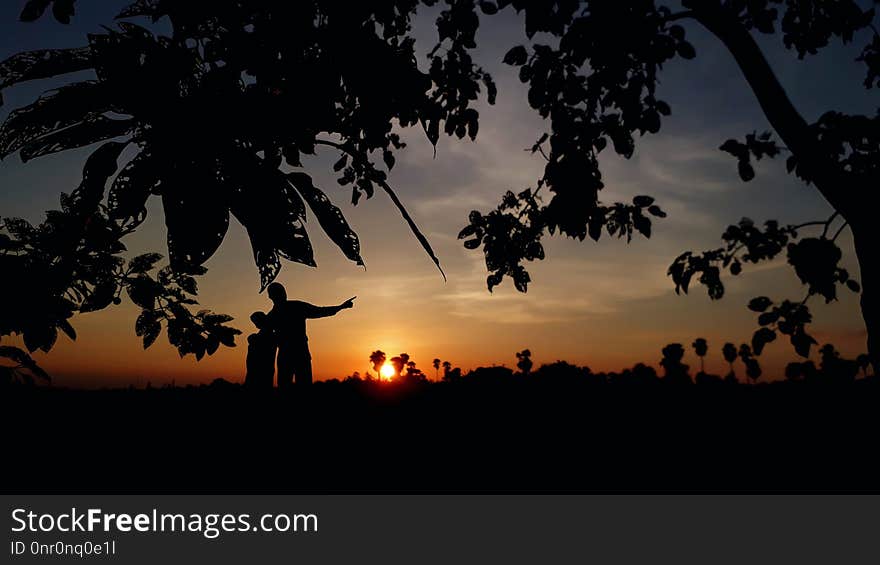 Sky, Nature, Tree, Sunset