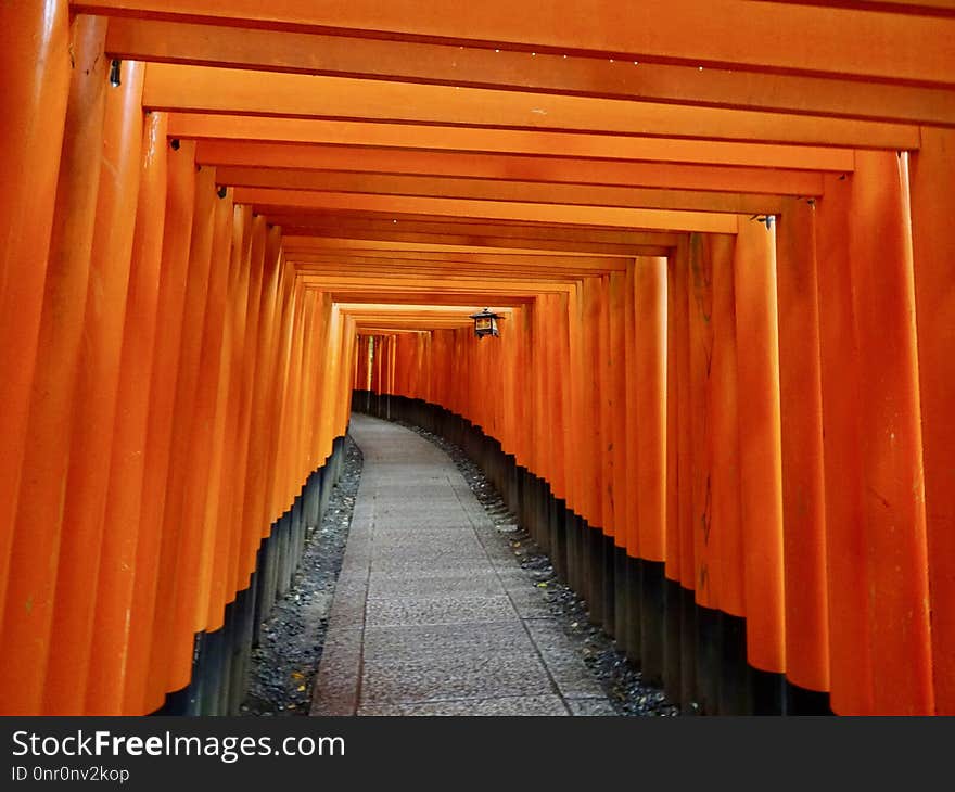 Orange, Torii, Wood, Line