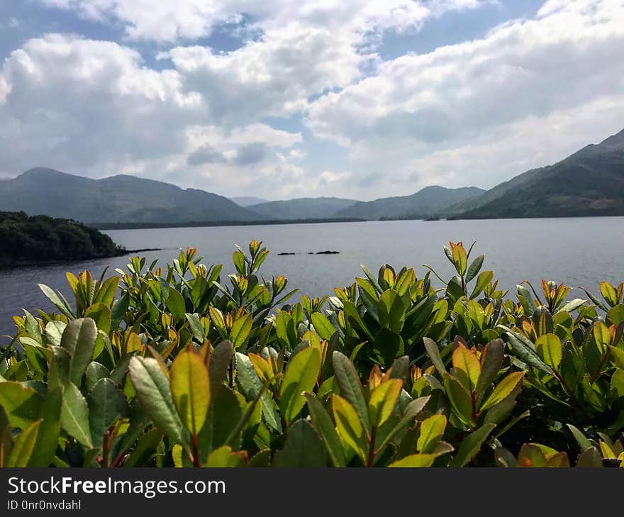 Vegetation, Plant, Sky, Mountain