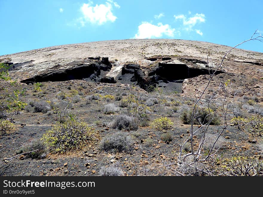 Rock, Shrubland, Ecosystem, Vegetation