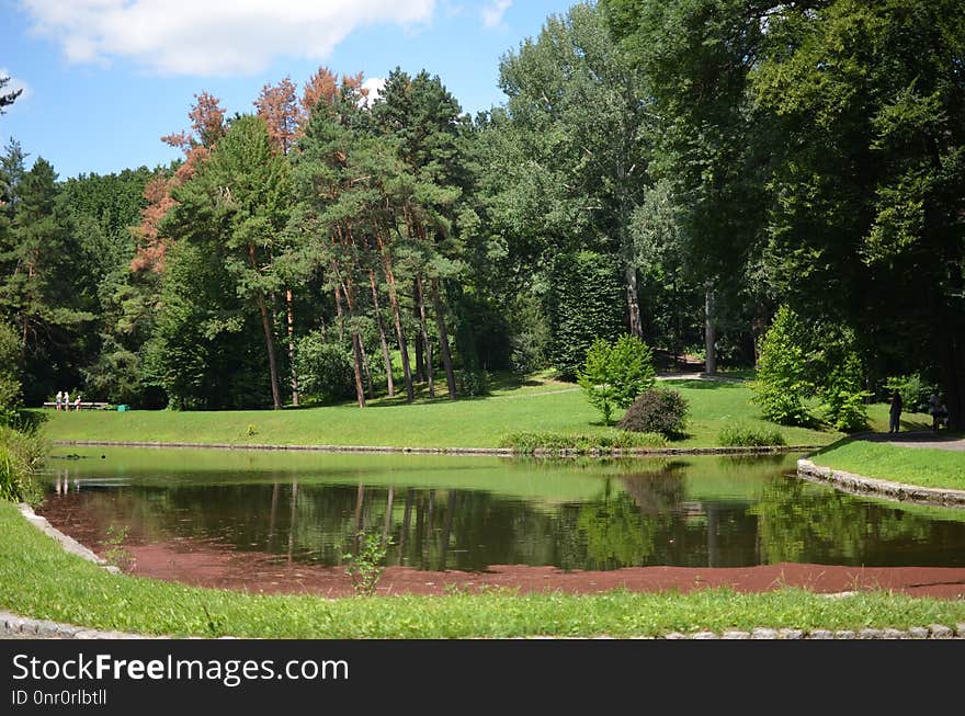 Nature, Garden, Botanical Garden, Vegetation