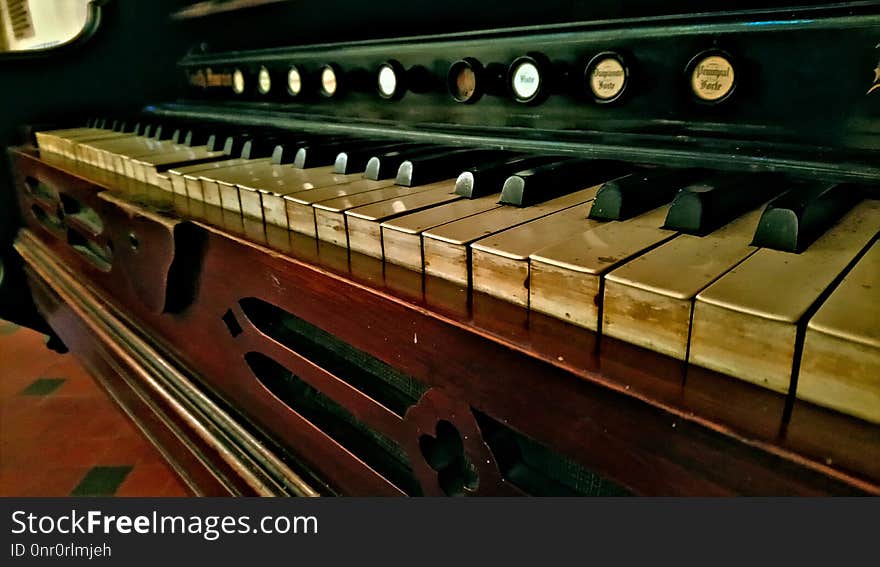 Musical Instrument, Keyboard, Player Piano, Piano