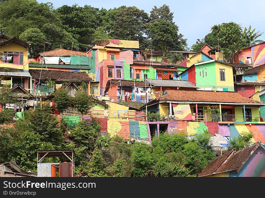 Neighbourhood, Town, Residential Area, Tree