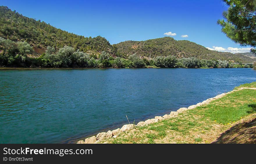 Nature Reserve, Lake, Water Resources, Vegetation