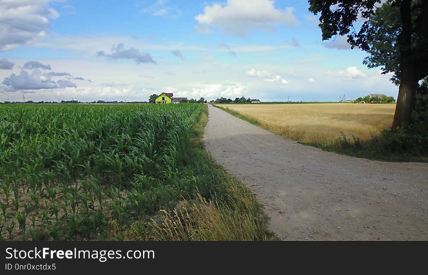 Road, Field, Sky, Plain