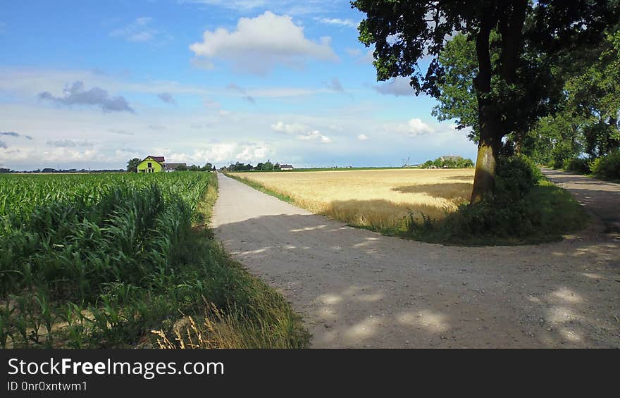 Nature Reserve, Road, Sky, Field